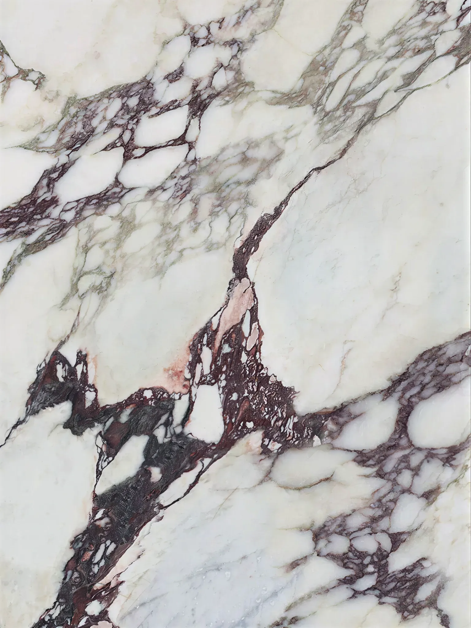 宝格丽紫