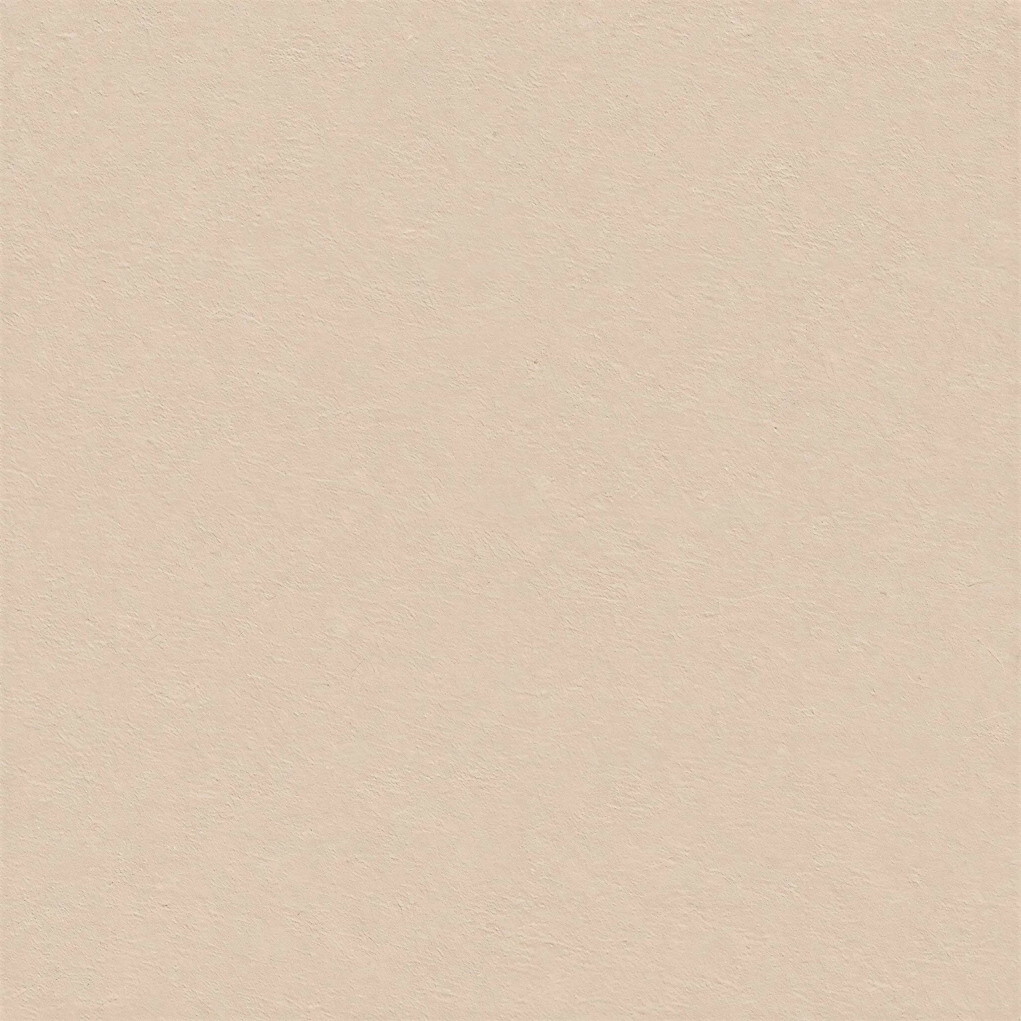 沙丘米杏