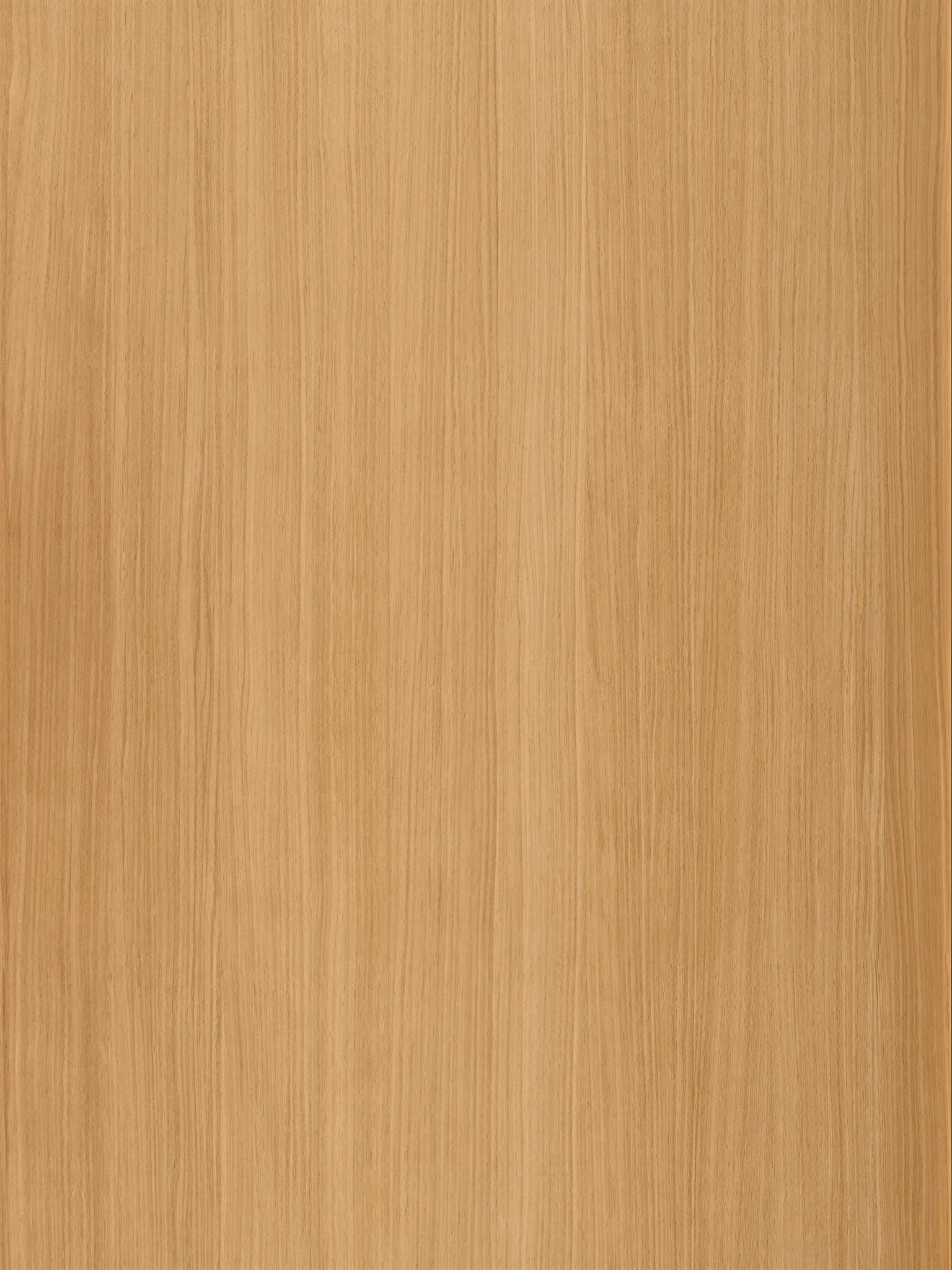白橡木-SA