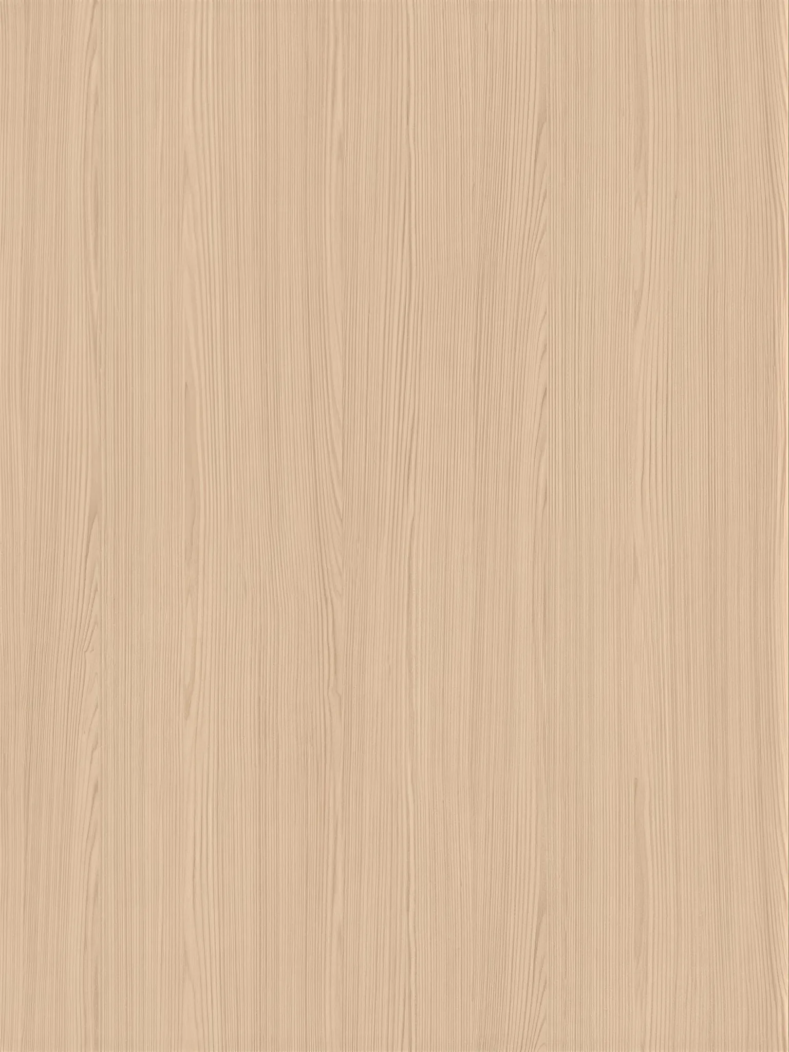 白橡木-LNO