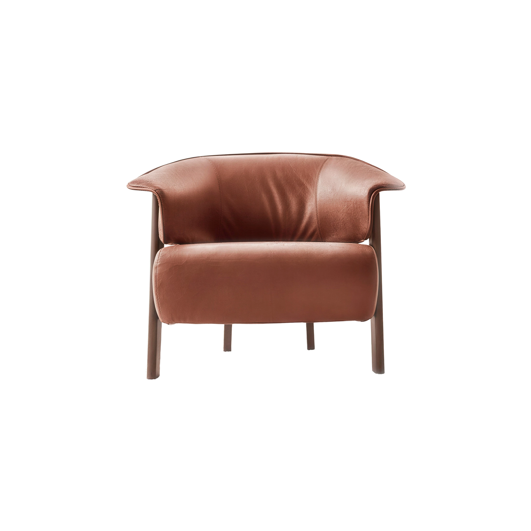 巴克-温 Back-Wing 休闲椅/Arm Chair  - PIXHOME