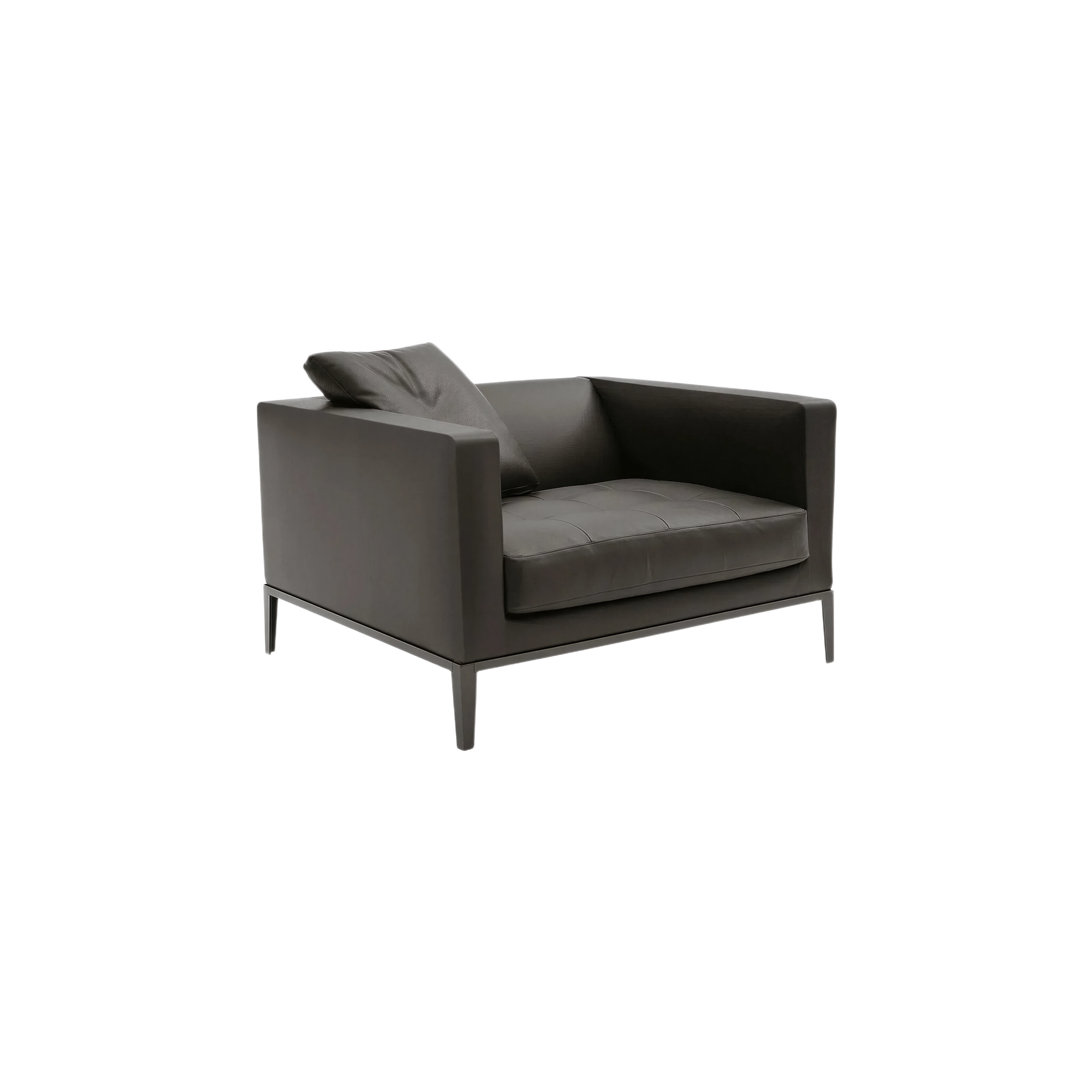 辛普利西特 Simpliciter 休闲椅/Arm Chair  - PIXHOME