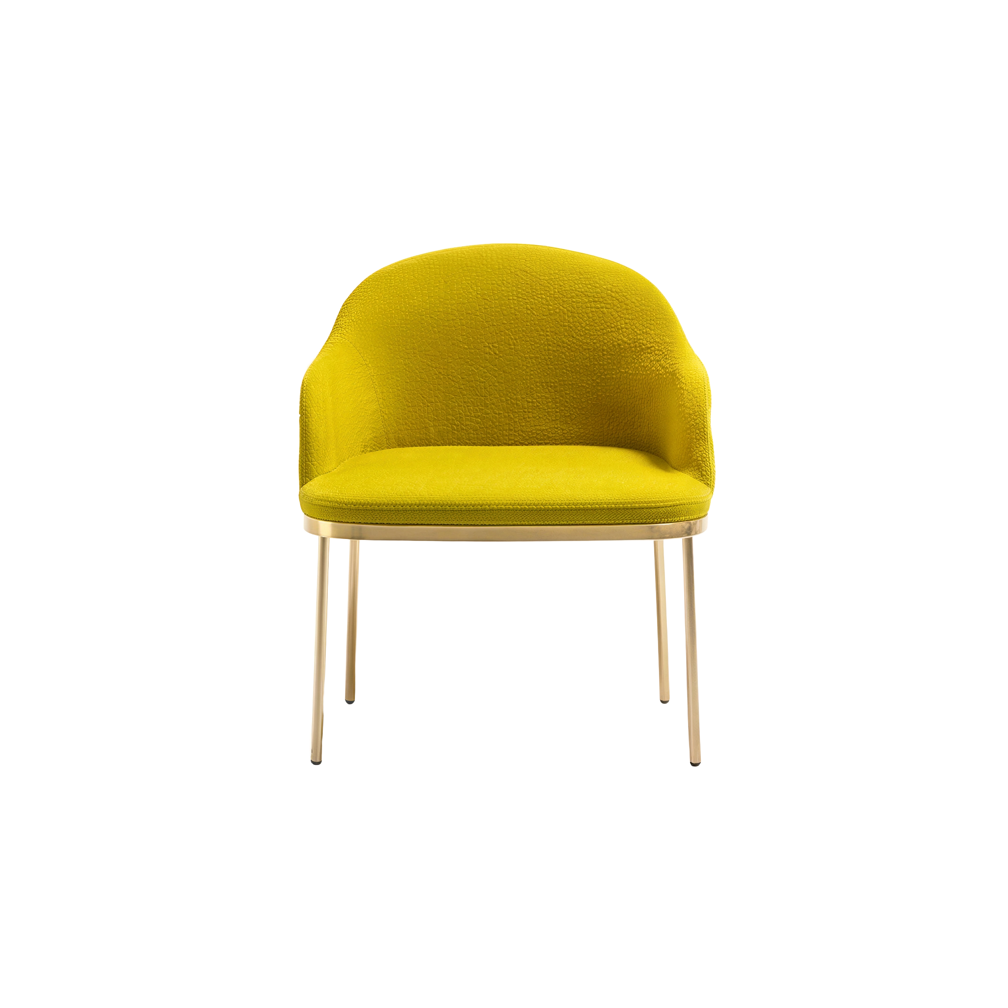 普雷舍斯 Precious 休闲椅/Arm Chair  - PIXHOME