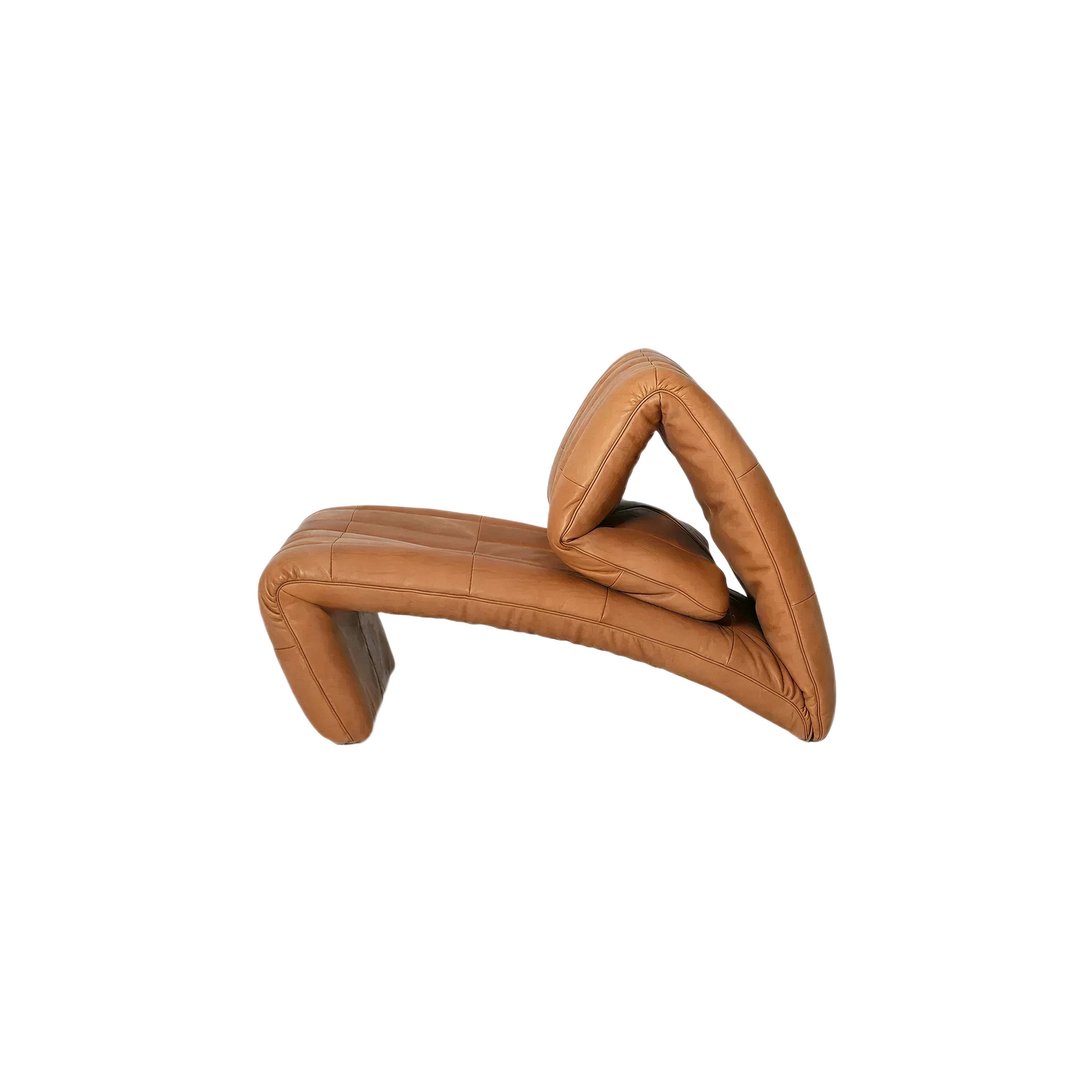 DS-266 约加 DS-266 Yoga 休闲椅/Arm Chair  - PIXHOME